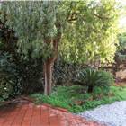 GIARDINO PRIVATO